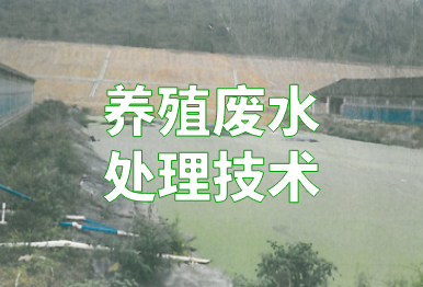 【环保干货】养殖废水如何处理？4个方法，快看你的猪场适合哪一种